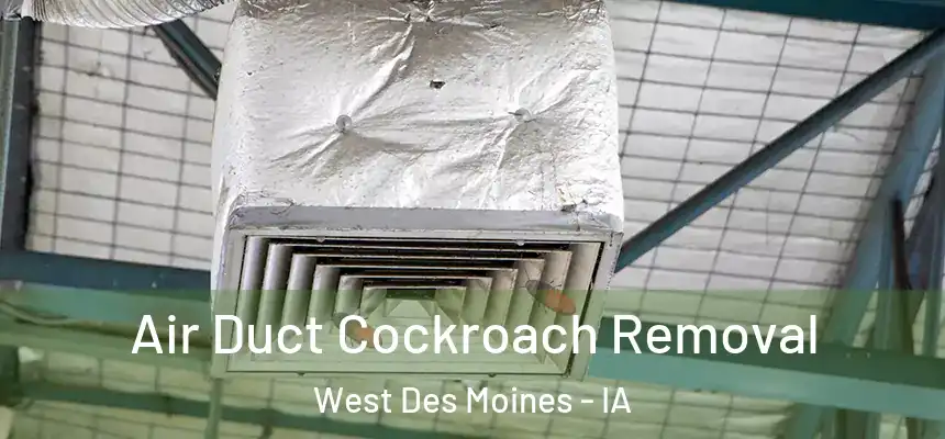  Air Duct Cockroach Removal West Des Moines - IA