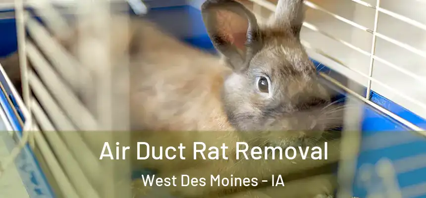  Air Duct Rat Removal West Des Moines - IA