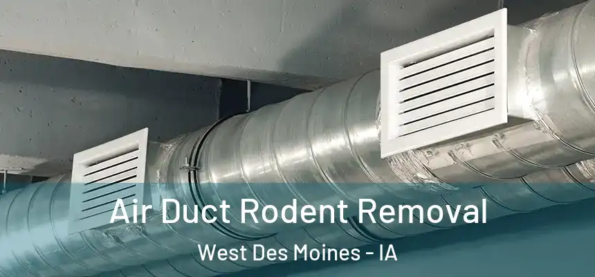  Air Duct Rodent Removal West Des Moines - IA