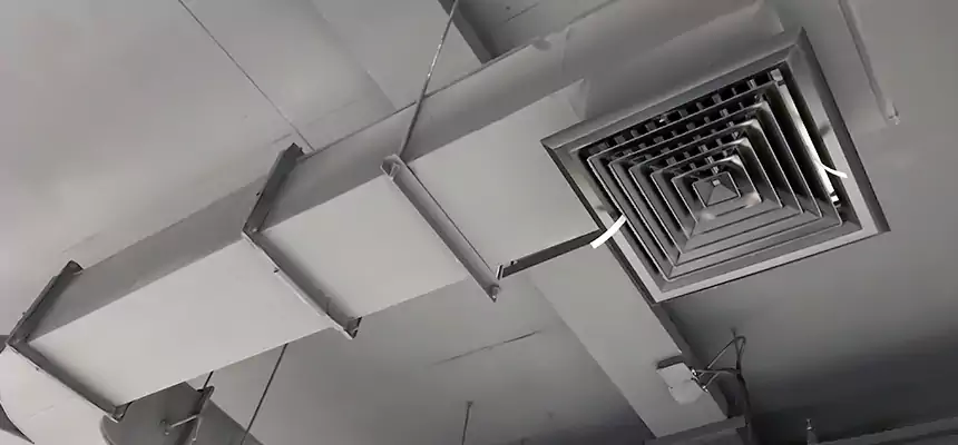 Restorative Allergy Relief Vent Cleaning – Coil, Blower & Housing Detail in West Des Moines