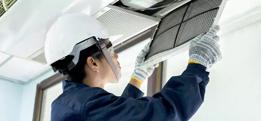 Our Mold & Mildew Removal from Air Ducts Services in West Des Moines, IA