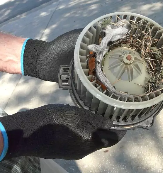 About Air Duct Mice Removal in West Des Moines, IA