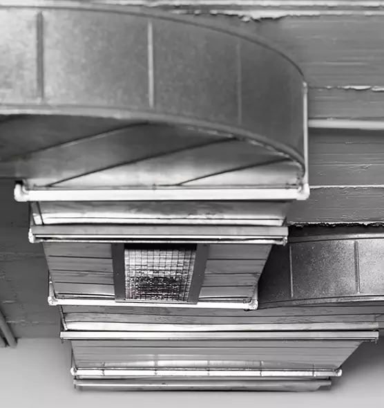 Professional Air Duct Pest Removal in West Des Moines, IA