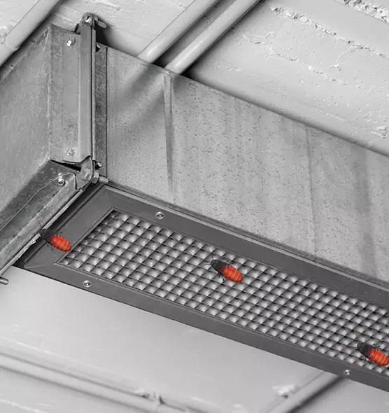 Affordable Insect Removal from Air Ducts in West Des Moines, IA