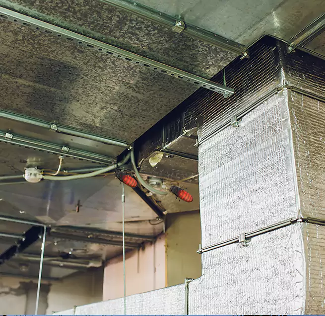 Why Homeowners & Businesses Trust Us in West Des Moines, IA?